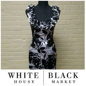 WHBM | NWOT Stunning Ruffled Collar Dress